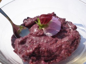 Blauwe bessen met kokosmelk