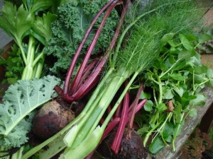 Waarom voedingssupplementen nodig zijn, ook met natuurlijke levensstijl 5 Groentennov